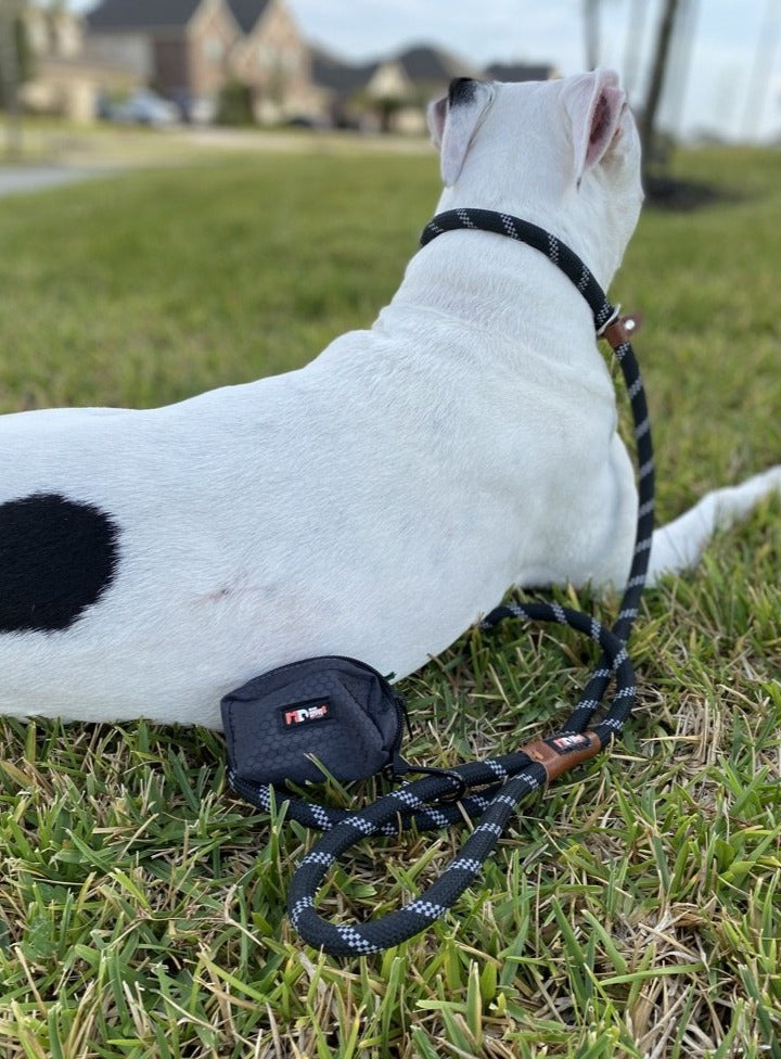 Dog leash hotsell with bag holder