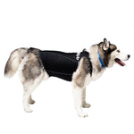 Anti-anxiety compression shirt for 3XL - 5XL dogs