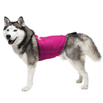 Anti-anxiety compression shirt for 3XL - 5XL dogs