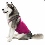 Anti-anxiety compression shirt for 3XL - 5XL dogs