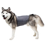 Anti-anxiety compression shirt for 3XL - 5XL dogs