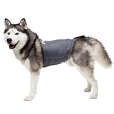 Anti-anxiety compression shirt for 3XL - 5XL dogs