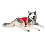 Anti-anxiety compression shirt for 3XL - 5XL dogs