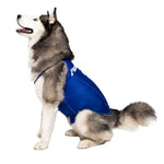 Anti-anxiety compression shirt for 3XL - 5XL dogs