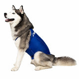 Anti-anxiety compression shirt for 3XL - 5XL dogs