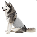 Anti-anxiety compression shirt for 3XL - 5XL dogs