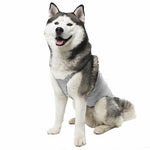 Anti-anxiety compression shirt for 3XL - 5XL dogs