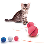 Electronic Rolling Ball with Laser for Pets