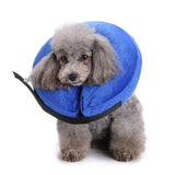 Inflatable Cone of Shame for Dogs