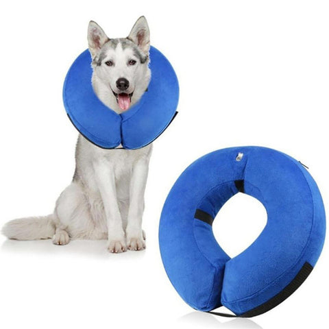 Inflatable Cone of Shame for Dogs