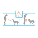 Jogging Dog Leash Kit