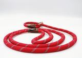 Hybrid Reflective Climbing Rope Dog Leash (Slip lead converts to clip on leash with carabiner)