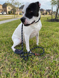 Mad About Mutts PACKAGE: Hybrid Climbing Rope Dog Leash with Waste Bag Holder & Dispenser.