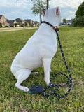 Mad About Mutts PACKAGE: Hybrid Climbing Rope Dog Leash with Waste Bag Holder & Dispenser.