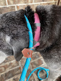 Hybrid Reflective Climbing Rope Dog Leash (Slip lead converts to clip on leash with carabiner)